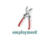 employment