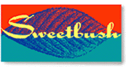 sweetbush