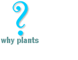 why plants